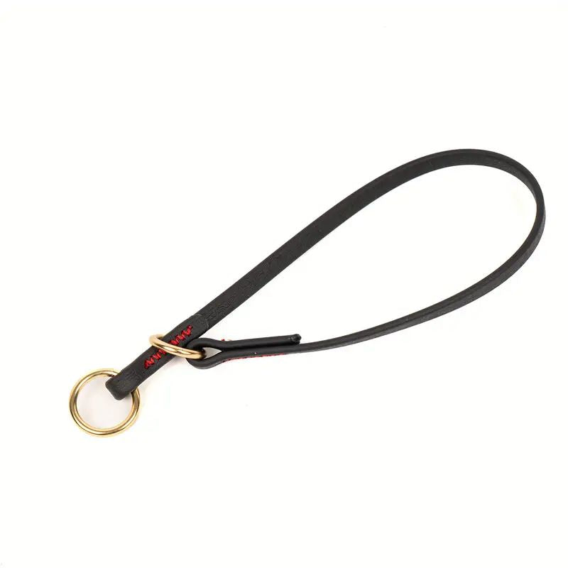 Collier étrangleur pour chien - Safe