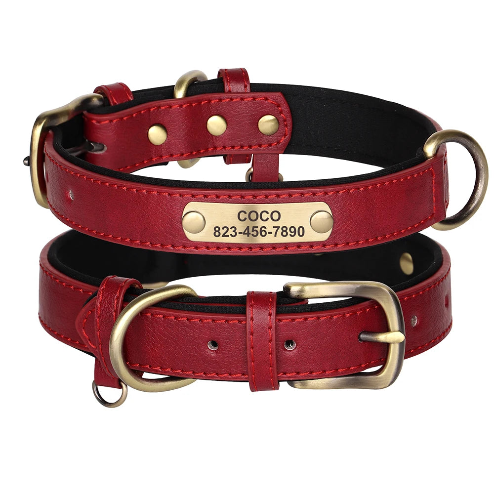 Collier Pour chien Personnalisé - Sweet