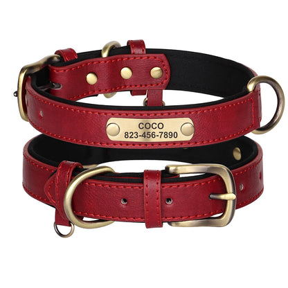 Collier Pour chien Personnalisé - Sweet