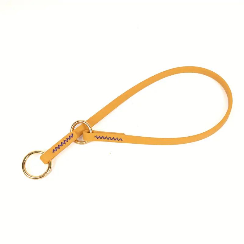 Collier étrangleur pour chien - Safe
