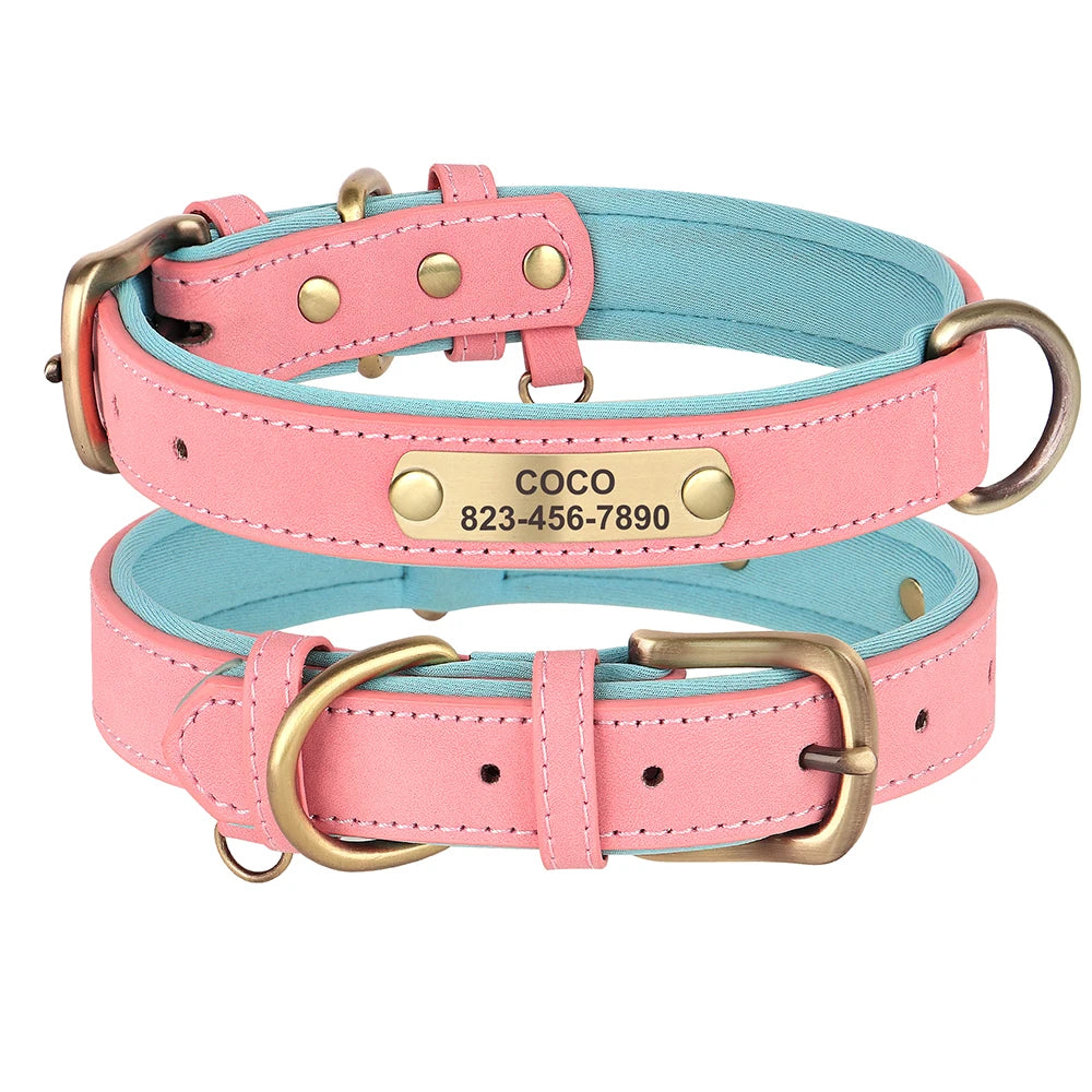 Collier Pour chien Personnalisé - Sweet