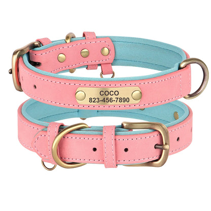 Collier Pour chien Personnalisé - Sweet