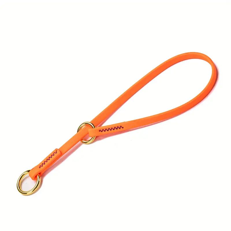 Collier étrangleur pour chien - Safe