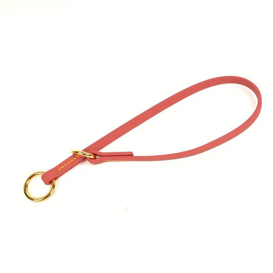 Collier étrangleur pour chien - Safe