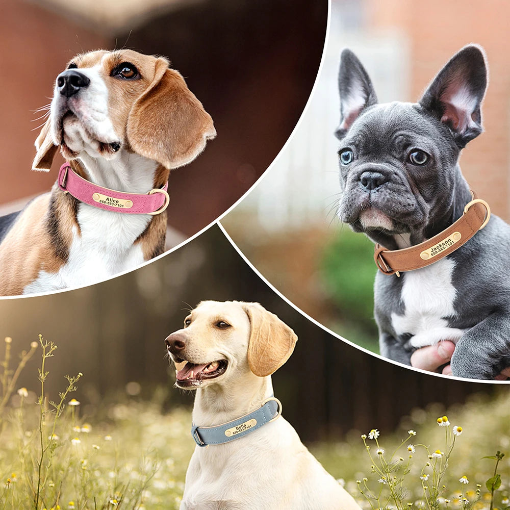 Collier Pour chien Personnalisé - Sweet