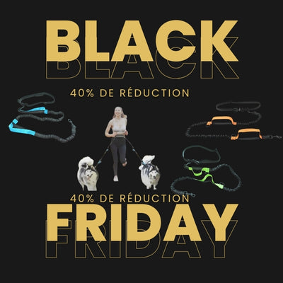 🎁-40% Black Friday - Laisse pour Chien - FlexiLaisse™