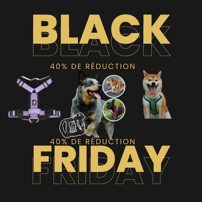 -40% - Harnais Chien - Anti Évasion Rouge