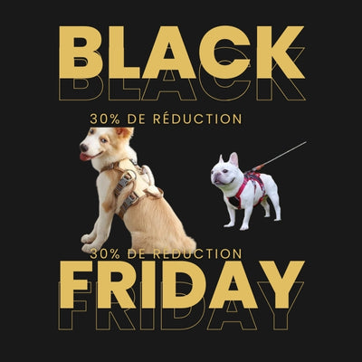 -30% - Harnais Pour Chien - Finesse Rouge et noir