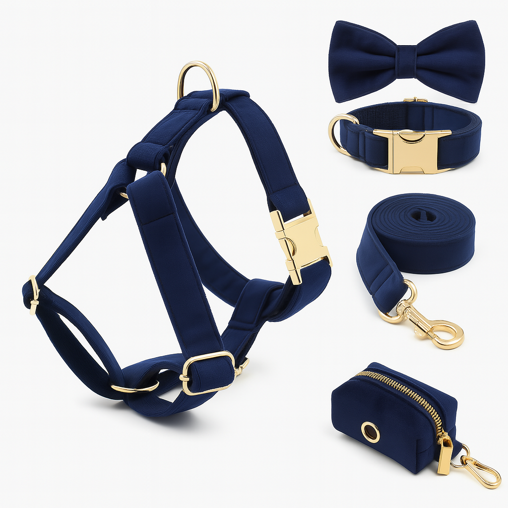 Ensemble d’accessoires pour chien – Élégance et confort au quotidien