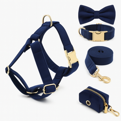Ensemble d’accessoires pour chien – Élégance et confort au quotidien
