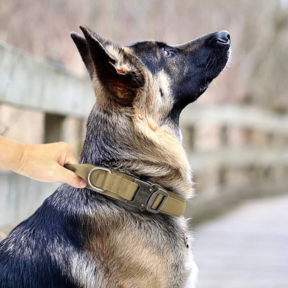 Collier Chien - Ultra Beige - Le monde de Philo