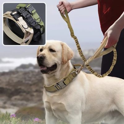 Collier Chien - Ultra Beige - Le monde de Philo