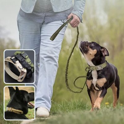 Collier Chien - Ultra Noir - Le monde de Philo