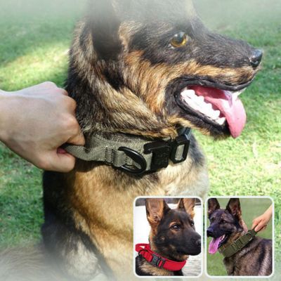 Collier Chien - Ultra Rouge - Le monde de Philo