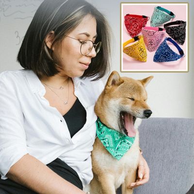 Collier pour Chien - Bandana - Le monde de Philo