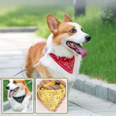 Collier pour Chien - Bandana - Le monde de Philo