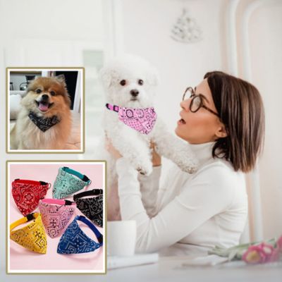 Collier pour Chien - Bandana - Le monde de Philo