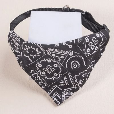 Collier pour Chien - Bandana - Le monde de Philo