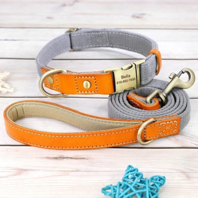 collier-pour-chien-ensemble-gris