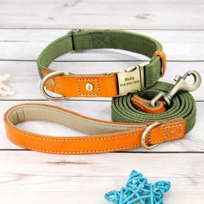 collier-pour-chien-ensemble-vert