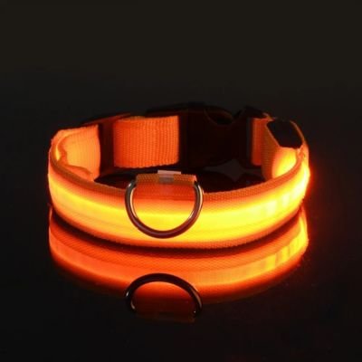 Collier pour Chien - Lumineux Orange - Le monde de Philo