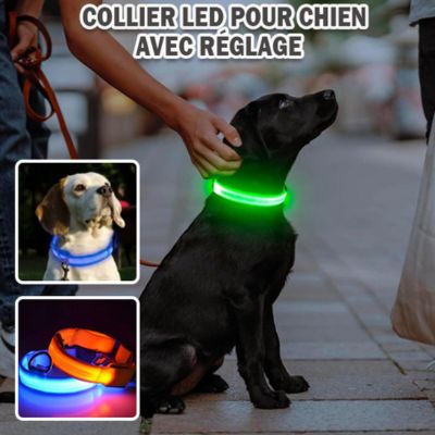 Collier pour Chien - Lumineux Orange - Le monde de Philo