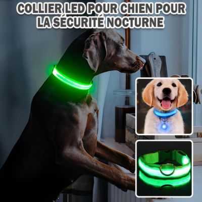 Collier pour Chien - Lumineux Vert - Le monde de Philo