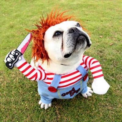 Costume pour chien - Chucky - Le monde de Philo