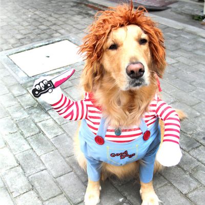 Costume pour chien - Chucky - Le monde de Philo