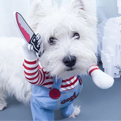 Costume pour chien - Chucky - Le monde de Philo