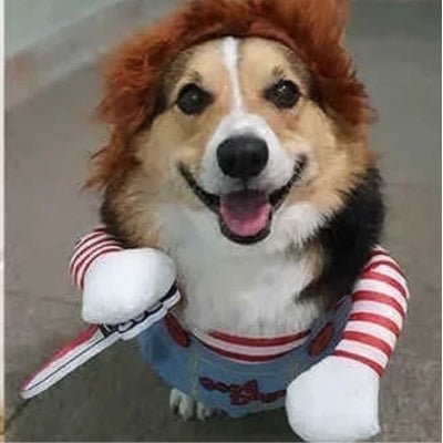 Costume pour chien - Chucky - Le monde de Philo