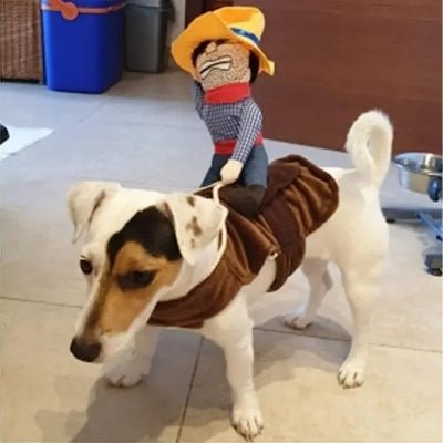 Costume pour Chien - Cowboy - Le monde de Philo