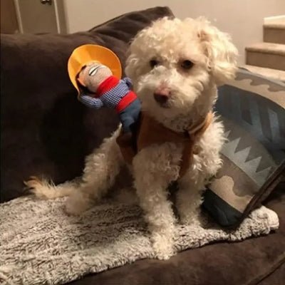 Costume pour Chien - Cowboy - Le monde de Philo