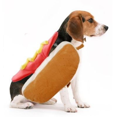 Costume pour Chien Hot - Dog - Le monde de Philo