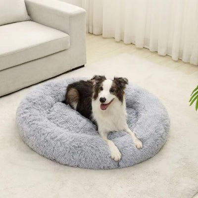 Coussin pour chien - Sleppy™ - Le monde de Philo