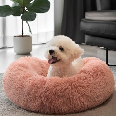 Coussin pour chien - Sleppy™ - Le monde de Philo