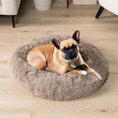 Coussin pour chien - Sleppy™ - Le monde de Philo