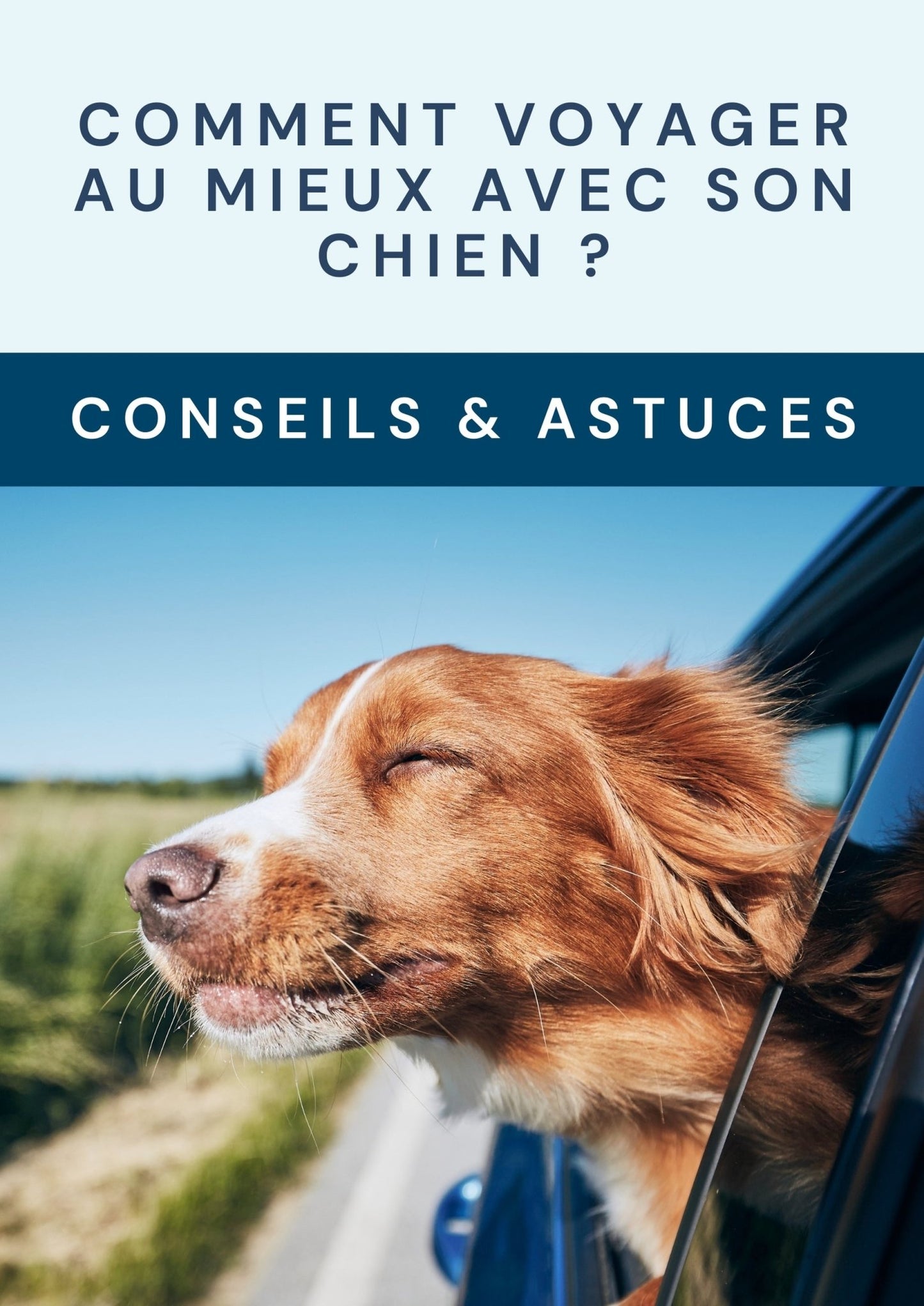 Ebook/ Comment voyager au mieux avec son chien - Le monde de Philo