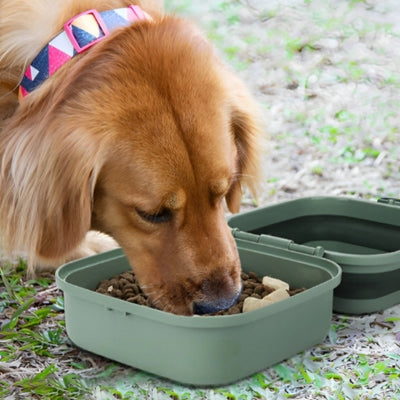 gamelle-pour-chien-verte