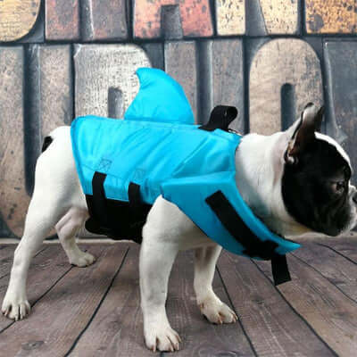 gilet-de-sauvetage-chien-couleur-bleu
