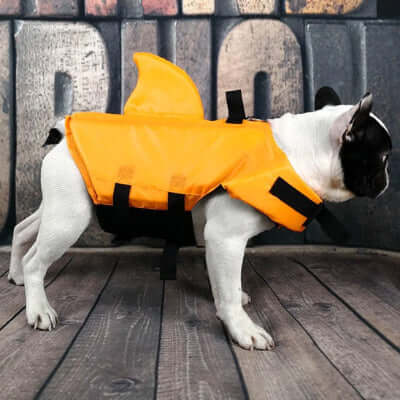gilet-de-sauvetage-chien-couleur-orange