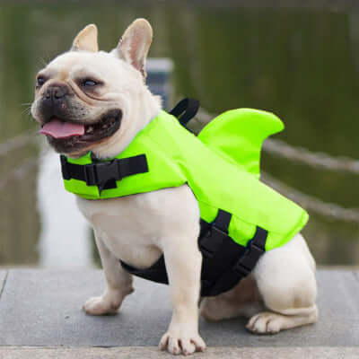 gilet-de-sauvetage-chien-couleur-vert