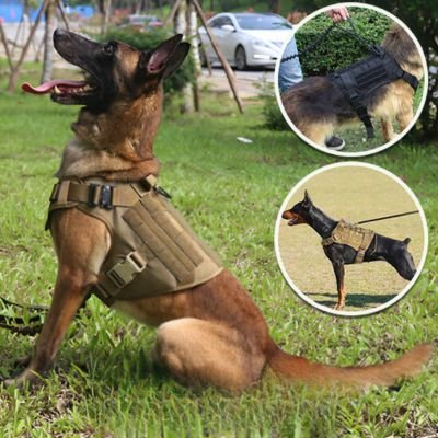 Harnais Anti Traction Chien - K9 Brun - Le monde de Philo