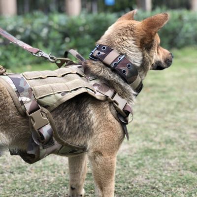 Harnais Anti Traction Chien - K9 Camouflage - Le monde de Philo