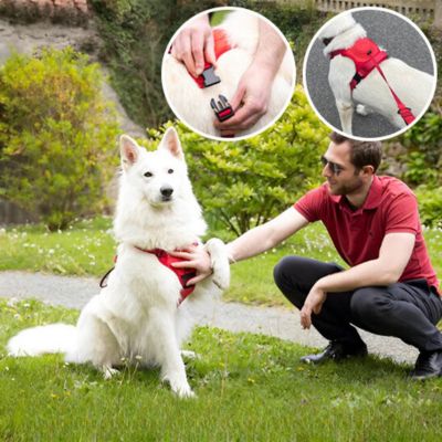 Harnais Chien Anti Traction - laisse intégrée - Rouge