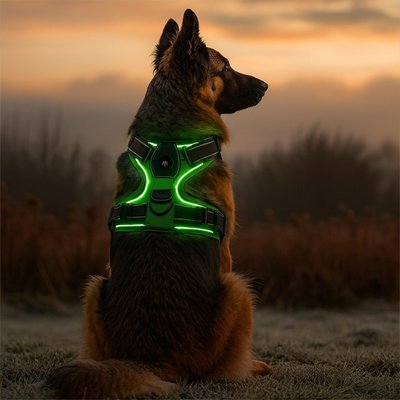 harnais-chien-usb