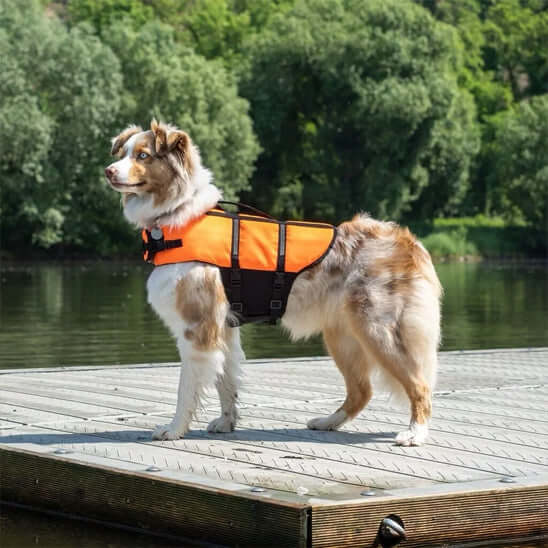 Gilet de sauvetage pour chien- Sécure