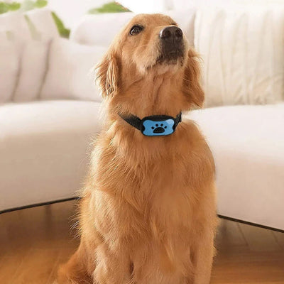 Collier de dressage pour Chien - Éducanin