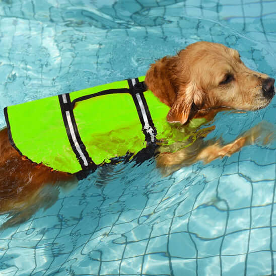 Gilet de sauvetage pour chien- Sécure