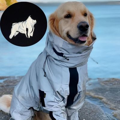 Imperméable Chien - Réflexion - Le monde de Philo